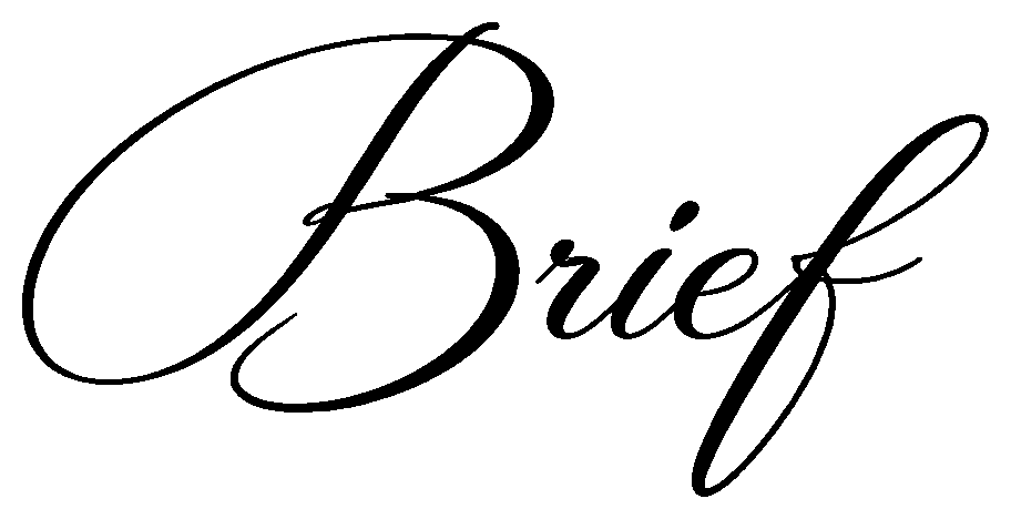 Brief